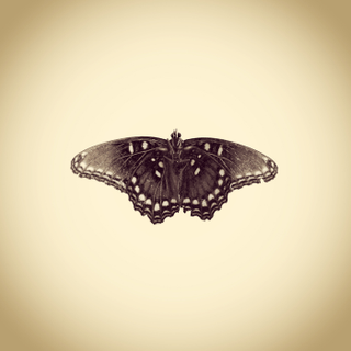 Illustration for article titled Only an iPhone Was Used to Create This Archive of Backyard Wildlife